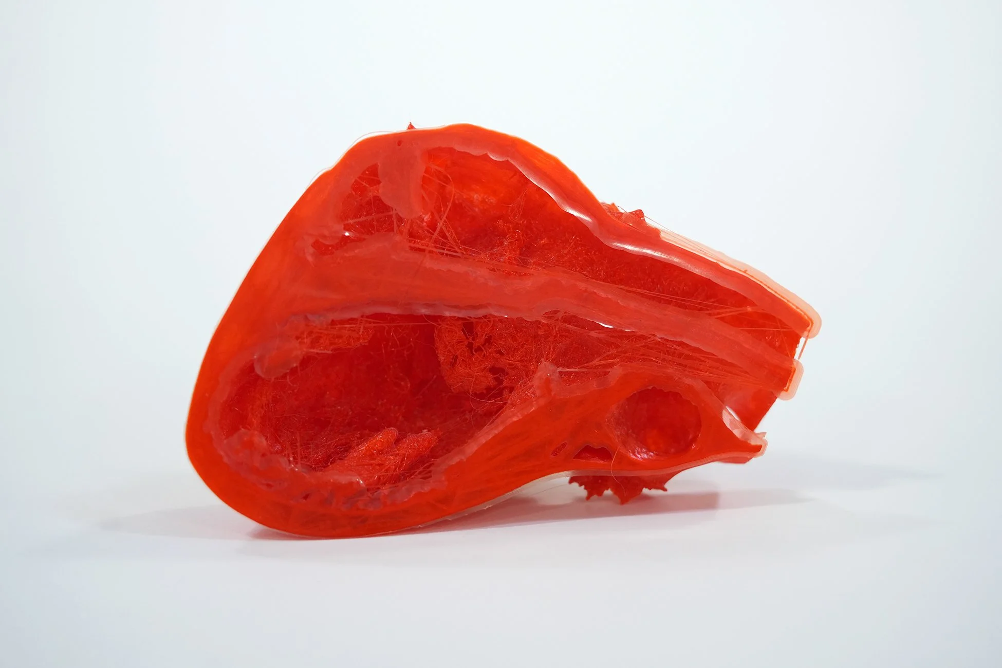MRI Cross Section 3D Printed Heart — AGENT GALLERY CHICAGO